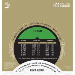 D'Addario EJ25B, Flamenco Black